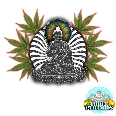 Pretty Baked - Original Mix