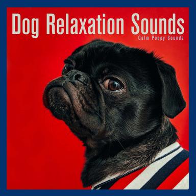 Calming Dog Music