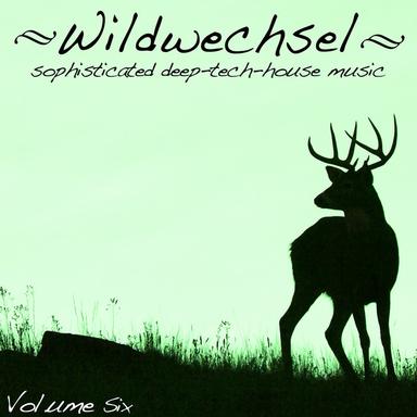 In the Shade - Jonas Saalbach Remix