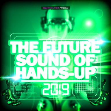 Sayonara - Flashtune Remix Edit