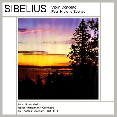 Violin Concerto in D Minor, Op. 47: I. Allegro moderato