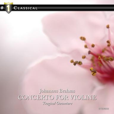 Double Concerto in A Minor for Violin, Cello and Orchestra, Op. 102: III. Vivace non troppo