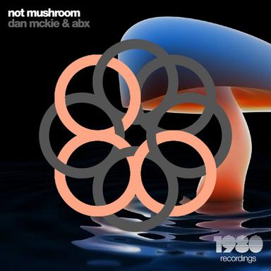 Not Mushroom - Sterbai Remix