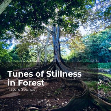 Tropical Sea Splashing