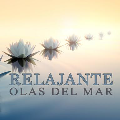 Relajante Olas Del Mar