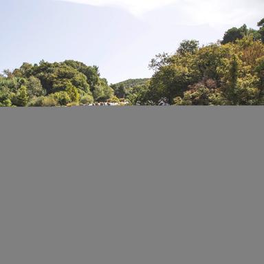 Relaxing White Noise