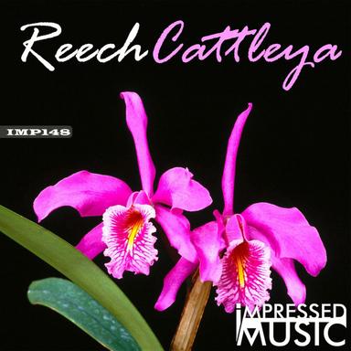 Cattleya EP