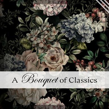 Rondo in D Major for Piano and Orchestra, K. 382: II. Adagio
