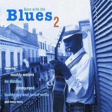 Dust My Broom (Live)