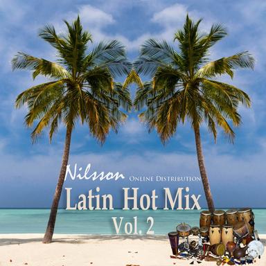 Latin Hot Mix Vol. 2