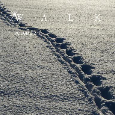 Walk, Vol. 2