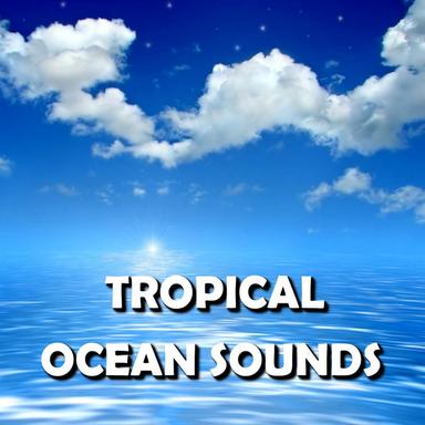 Relaxing Waterfront Beach Waves