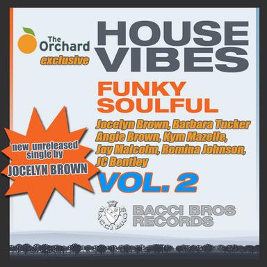 House Vibes - Funky Soulful, Vol. 2