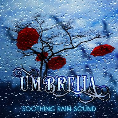Sound of Rain