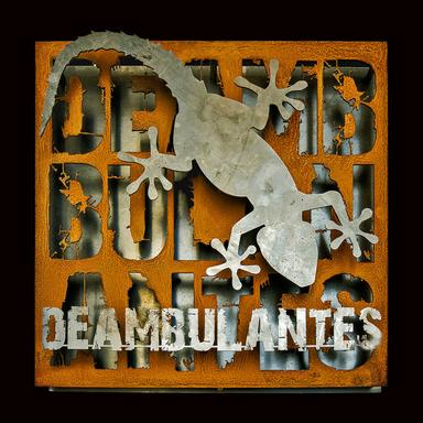 DR