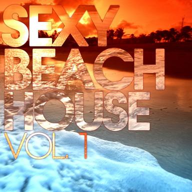 Come Into My Life - Beach Groovers Mix
