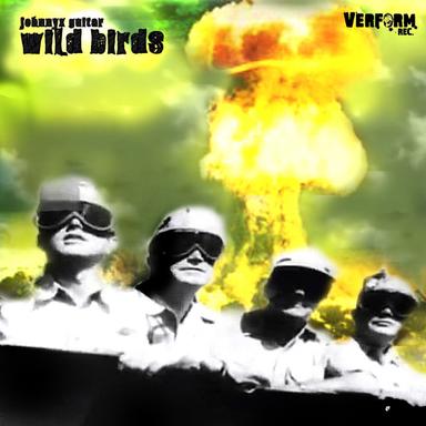 Wild Birds