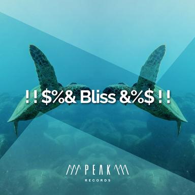 Waves in the Harbour