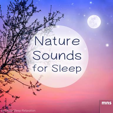 Sleep Sounds