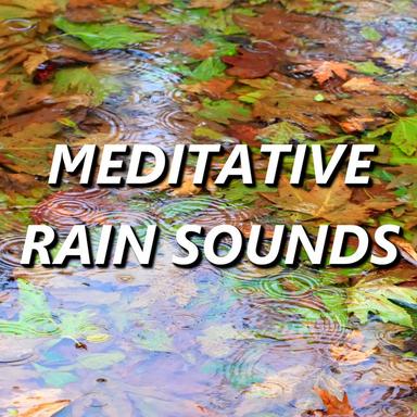Brisk Meditation Rain Sounds