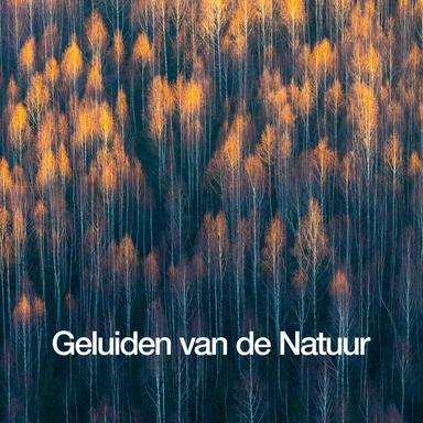 Binaural Running Stream