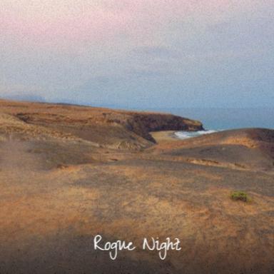 Rogue Night