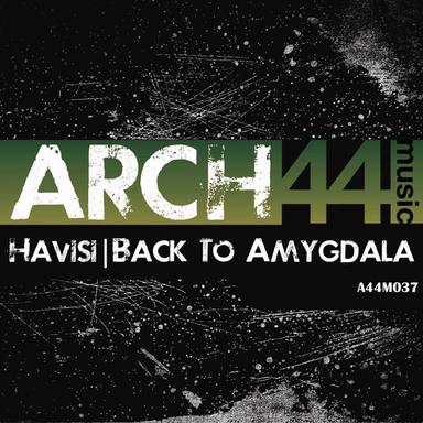 Back To Amygdala - Original Mix