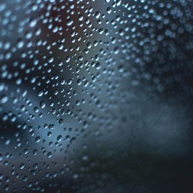 Windy Rain Weather