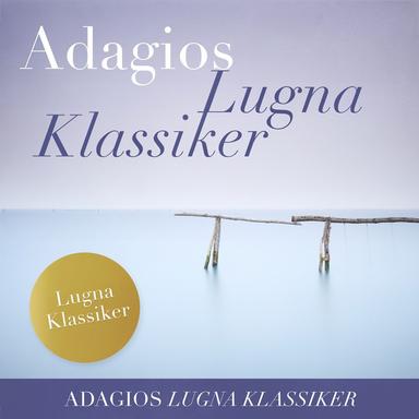 Piano Concerto No.21 in C, K.467 : 2. Andante
