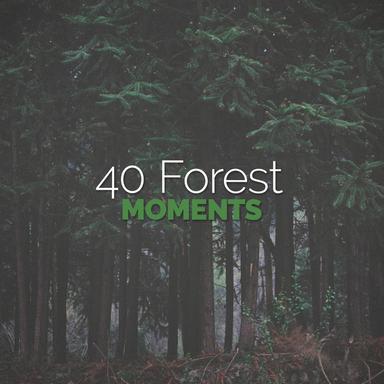 Wooded Song