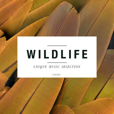 Wildlife, Vol. 4