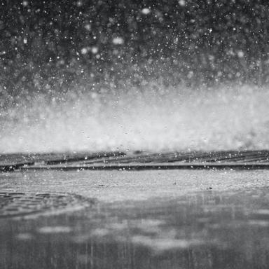 In Search of Rain