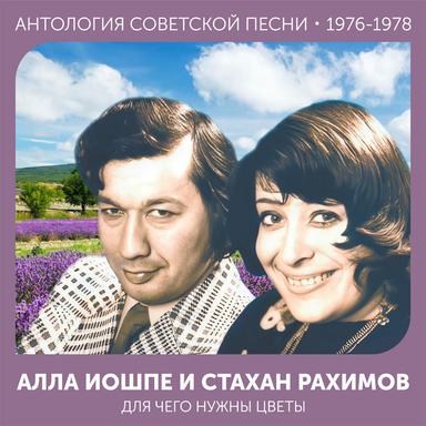 Ночка луговая
