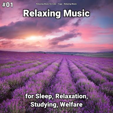 Calming Down Ambient Music
