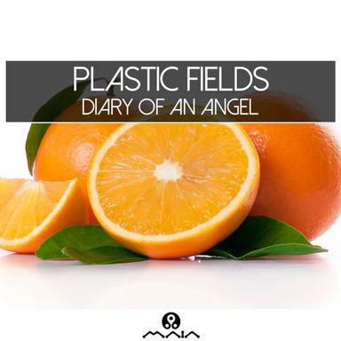Diary of an Angel