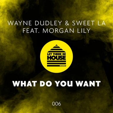 What Do You Want - Original Mix