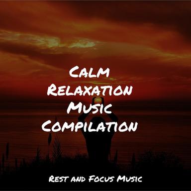 Letting Everything Go