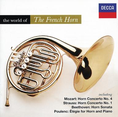 Horn Concerto in D Major, Lund 10: II. Adagio