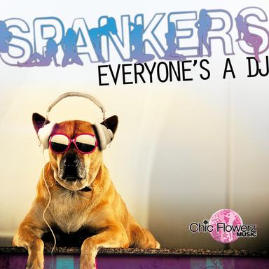 Everyone's a DJ - Extended
