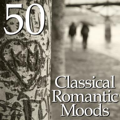 Serenade For Strings In E Major Op. 22: Moderato