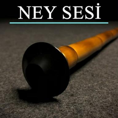 NS