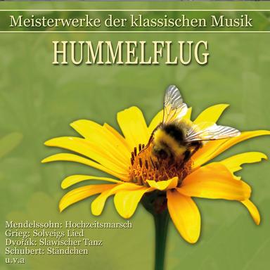 Slavonic Dances, Op. 46: No. 8 in G Major