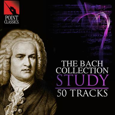 Brandenburg Concerto No. 3 in G Major, BWV 1048: II. Adagio