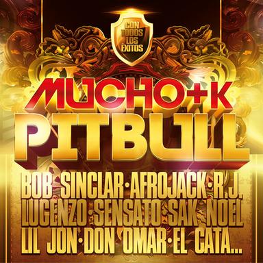 Make It Rain (feat. Pitbull) - Sebatian Knaak Edit Mix