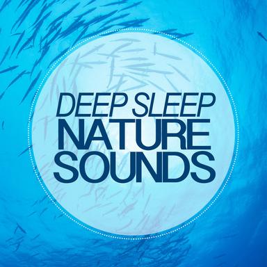 Birds by the Waterside