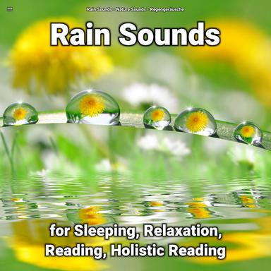 Amazing Nature Sounds of Rain