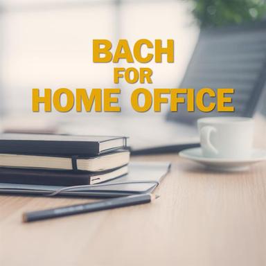 Violin Partita No. 2 in D Minor, BWV 1004: V. Ciaccona