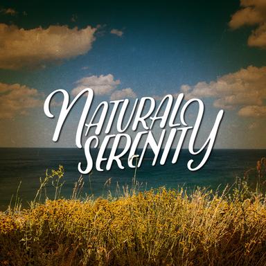 Springtime Bird Song