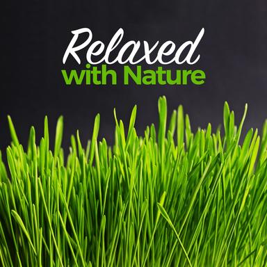 Chattering Birds by Brook