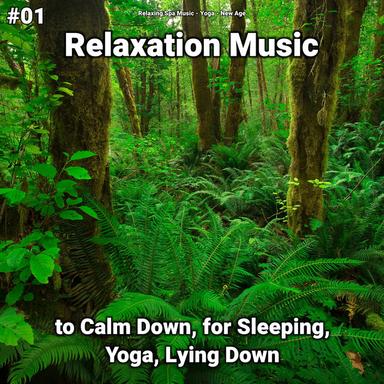 Relaxing Music to Focus
